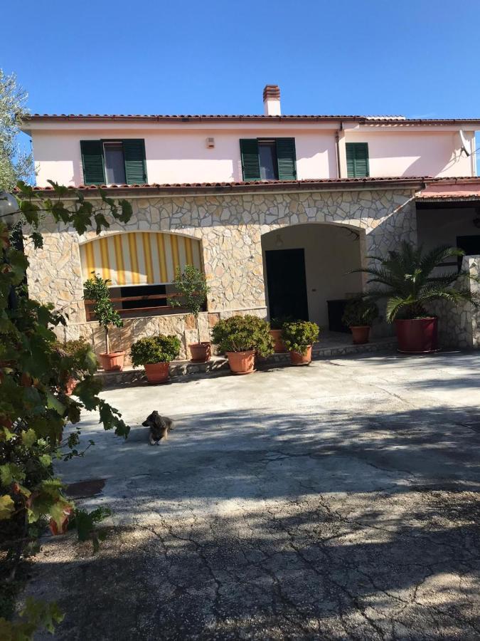 Villa Monica Appartamenti Весте Екстериор снимка
