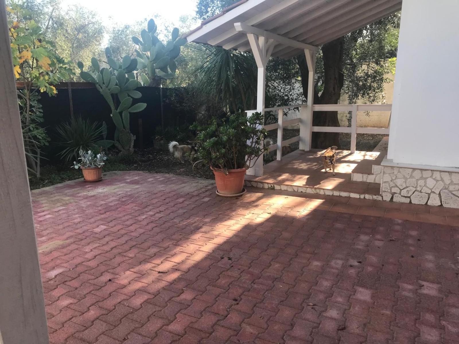 Villa Monica Appartamenti Весте Екстериор снимка